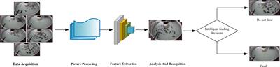 A real-time feeding decision method based on density estimation of farmed fish